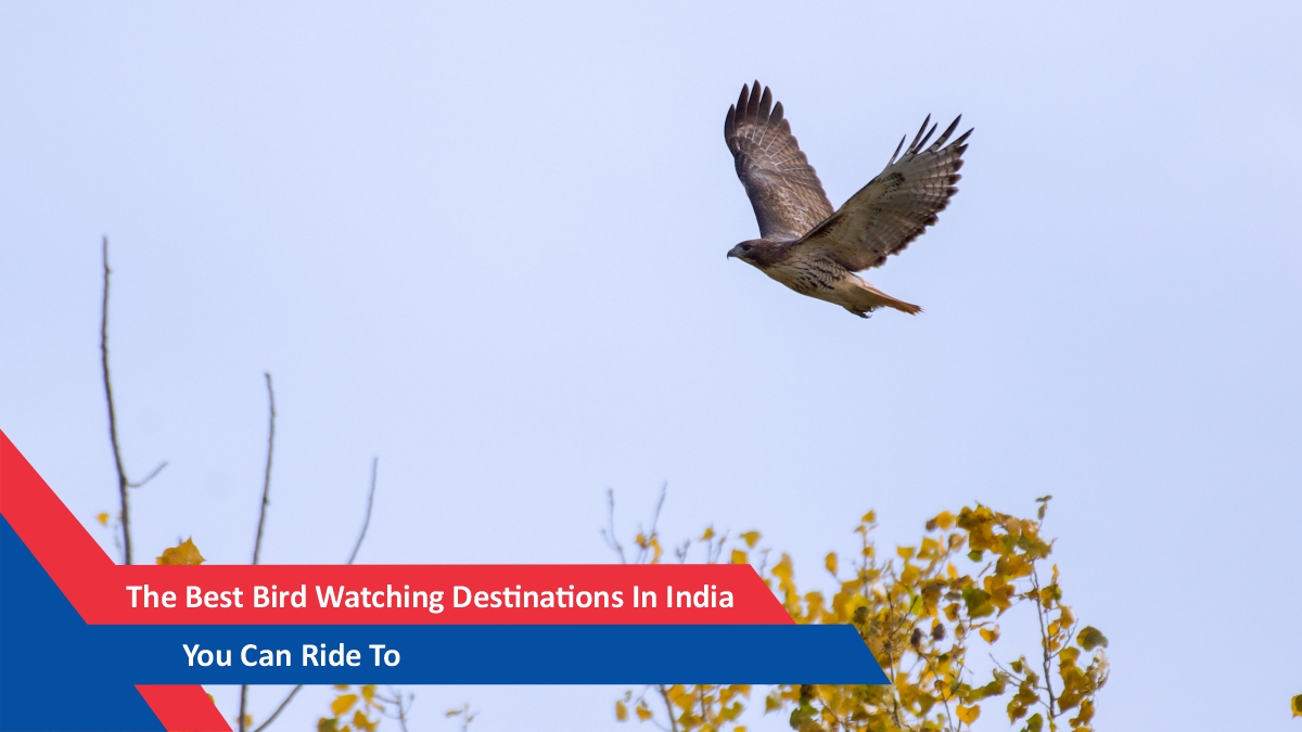 Blipping The Throttle Or Rev Matching: What Is It, How It’s Done And Why It’s Useful