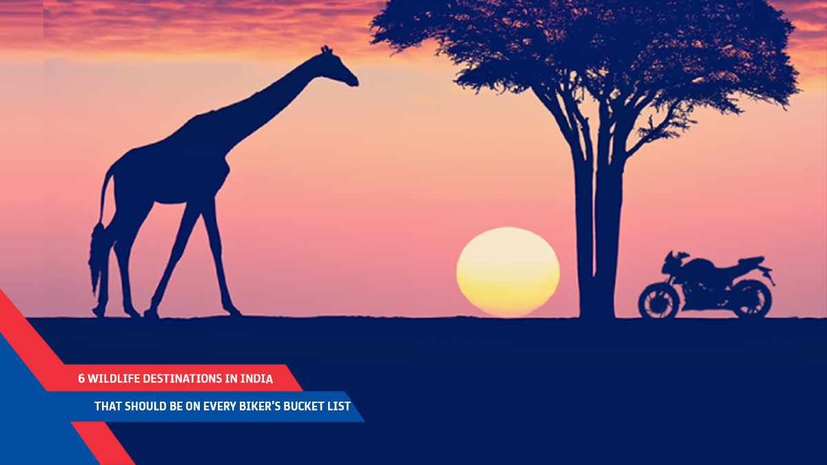 6 Wildlife Destinations In India That Should Be On Every Biker’s Bucket List