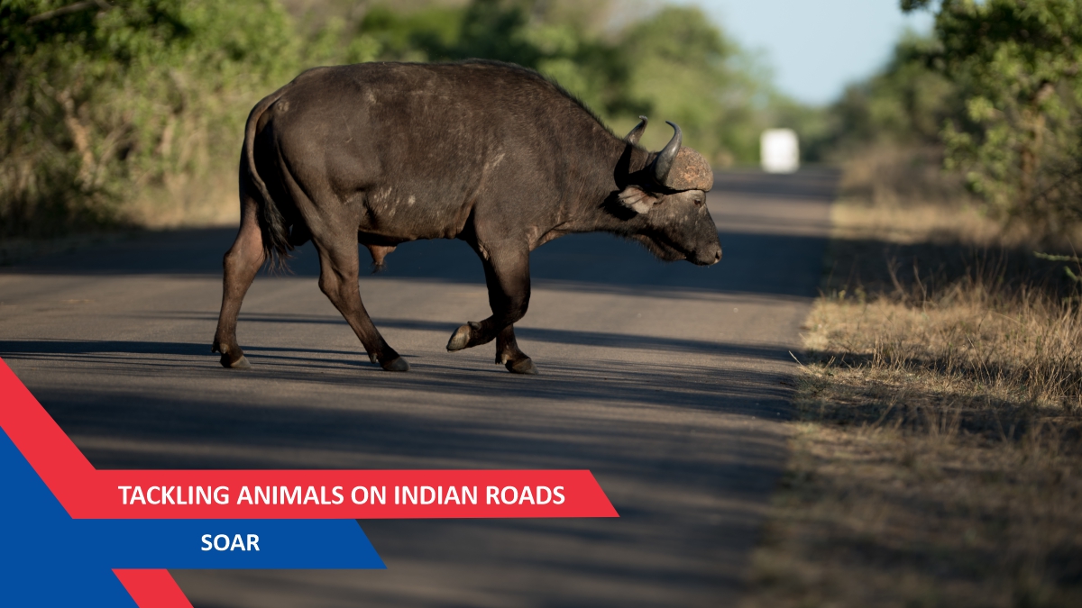 Demystifying Scooter Racing