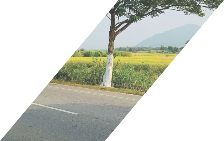 TVS XL 100