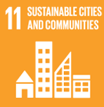 SDG 11