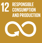 SDG 12