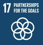 SDG 17