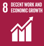 SDG 8