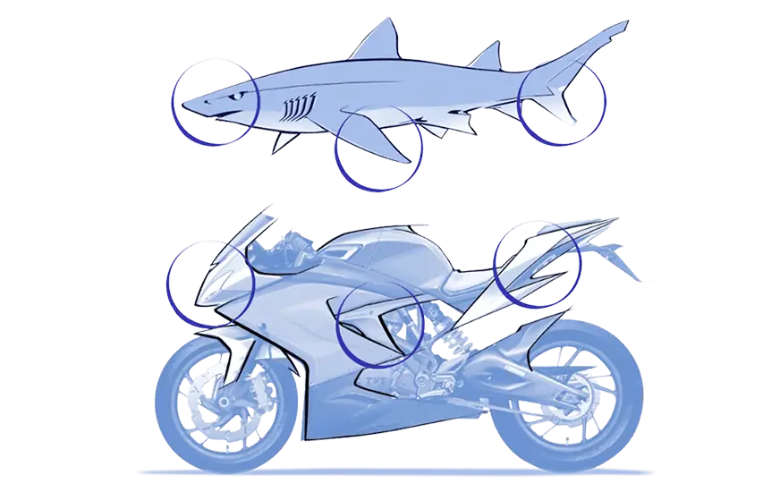 Apache RR 310 sura
