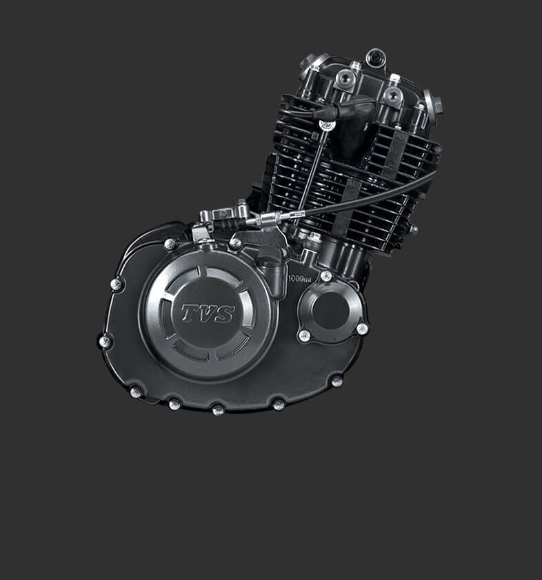Motor RTR supercuadrado de la motocicleta TVS RTR 160 2V de dos ruedas