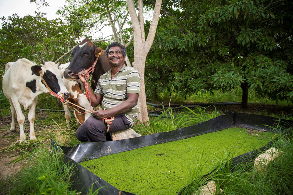 TVS International maintaining ecological balance