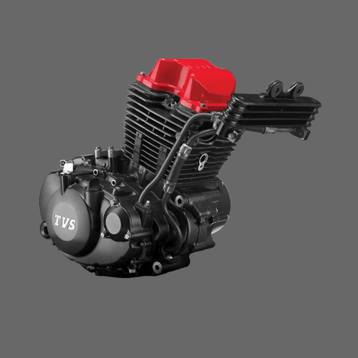 Detalles del motor de la motocicleta TVS RTR 160 4V de dos ruedas